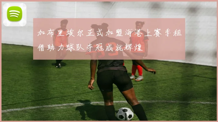 加布里埃尔正式加盟海港上赛季租借助力球队夺冠成就辉煌
