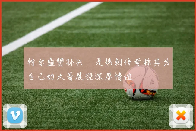 特尔盛赞孙兴慜是热刺传奇称其为自己的大哥展现深厚情谊